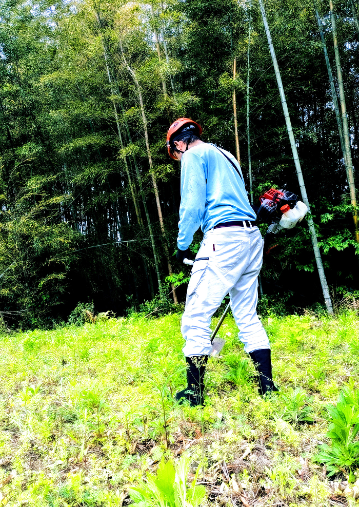 草刈作業の様子